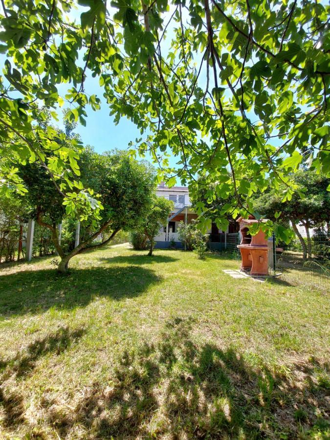 Apartament .....Und Der Hund Darf Mit Privlaka  Zewnętrze zdjęcie